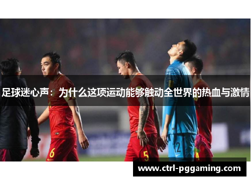 足球迷心声：为什么这项运动能够触动全世界的热血与激情